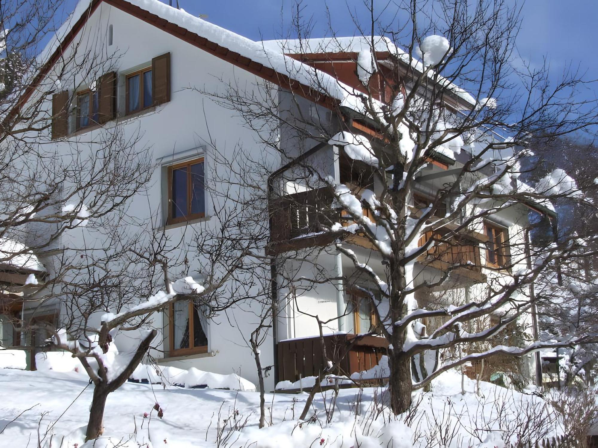 Haus Michler Apartment Тодтнау Екстериор снимка